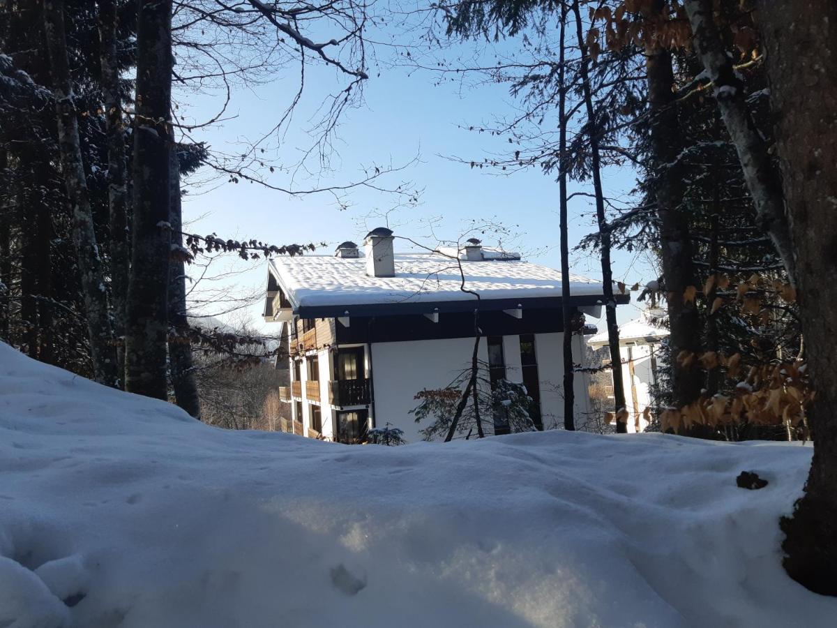 Appartement En Station De Ski A 700 M Des Telecabines Et 100 M Du Centre-Village Les Carroz d'Araches Esterno foto